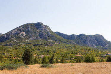 Similar image 13255247