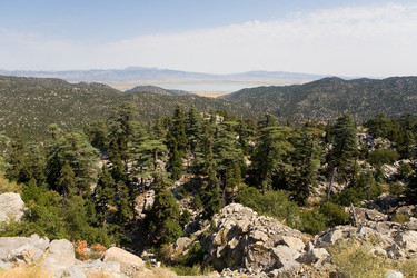 Similar image 13255248