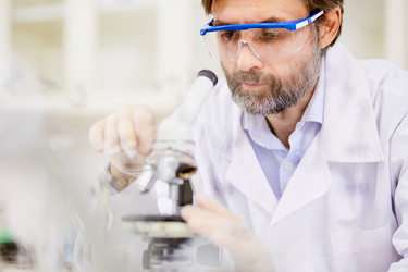 Similar image 13253179