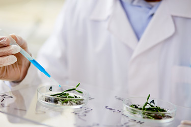 Similar image 13253183