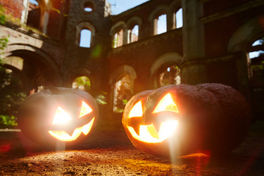 Similar image 13252954