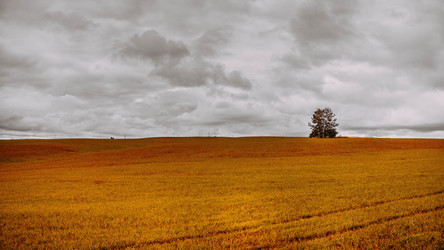 Similar image 13260759