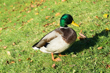 Similar image 13260860