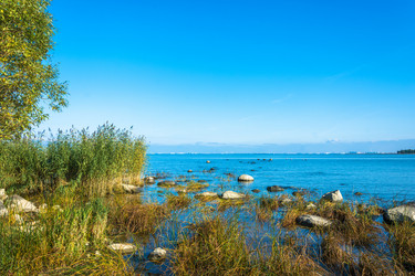 Similar image 13263552