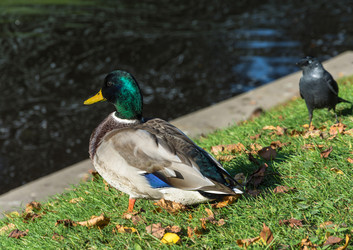 Similar image 13263556