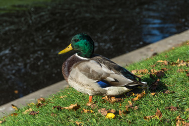 Similar image 13263557