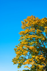 Similar image 13263558