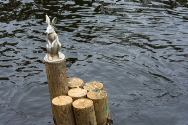 Similar image 13263574