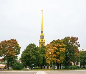 Similar image 13263603