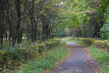 Similar image 13264099