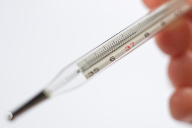 Similar image 13259715