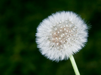 Similar image 13259760