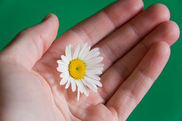 Similar image 13259805