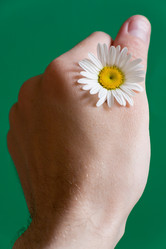 Similar image 13259806