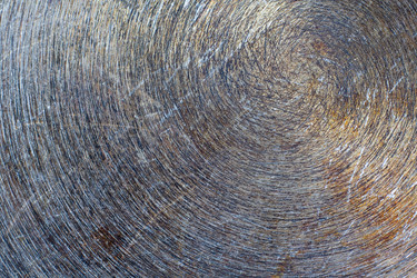 Similar image 13259859