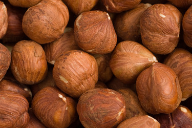 Similar image 13259874