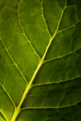 Similar image 13259924