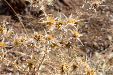 Similar image 13275496