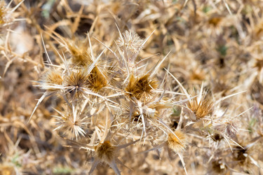 Similar image 13275497