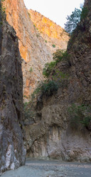 Similar image 13275500