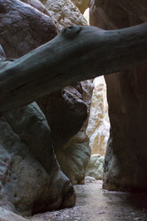 Similar image 13275501