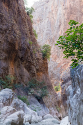 Similar image 13275504