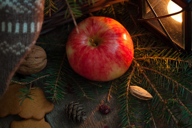 Similar image 13271825