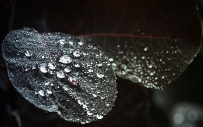 Similar image 13263224