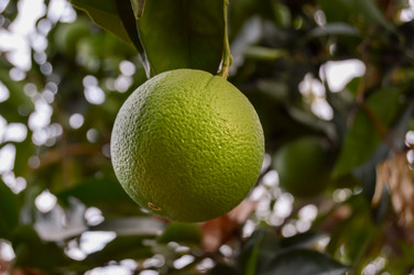 Similar image 13255275