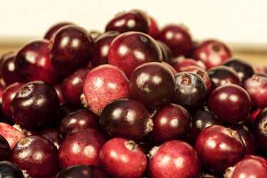 Similar image 13269588