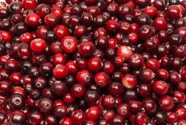 Similar image 13269599