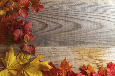 Similar image 13255128