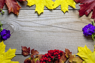 Similar image 13255129