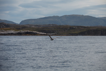 Similar image 13281260