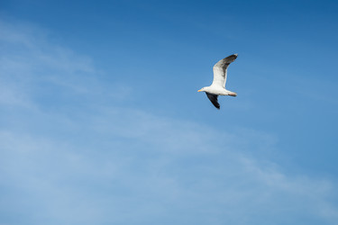 Similar image 13281308