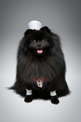 Similar image 13281252