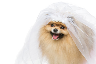 Similar image 13281253