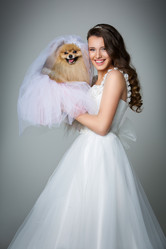 Similar image 13281284