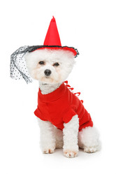 Similar image 13281318