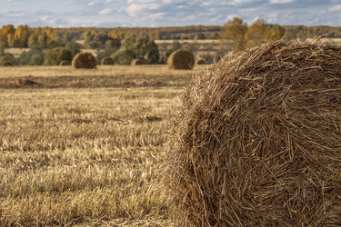 Similar image 13255132