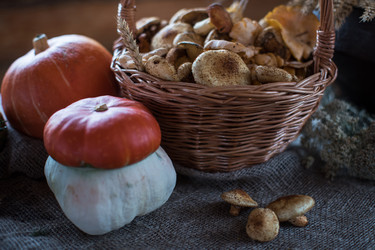 Similar image 13254892