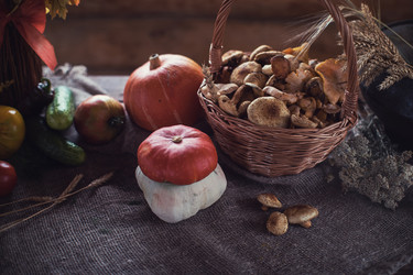 Similar image 13254900