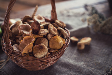 Similar image 13254901