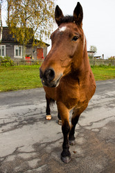 Similar image 13263792