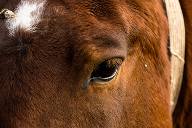 Similar image 13263793