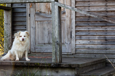 Similar image 13263927