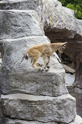 Similar image 13274382