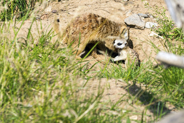 Similar image 13274402