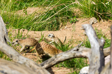 Similar image 13274403