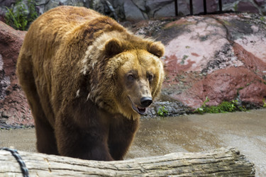 Similar image 13274407